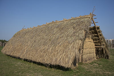 Het Vlaardingencultuurhuis: rietgedekt steentijdhuis met het dak tot op de grond